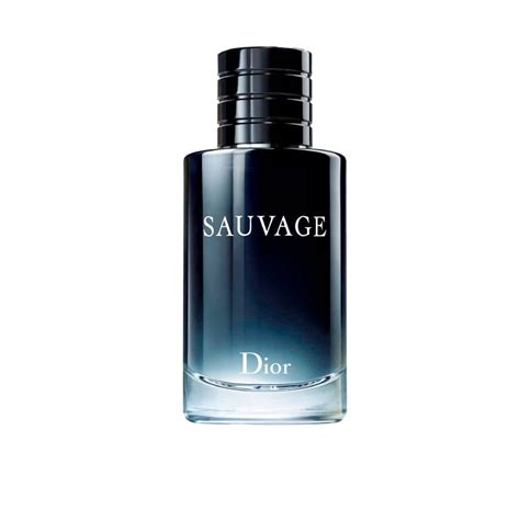 christian dior perfumes hombres|perfume Christian Dior hombre sauvage.